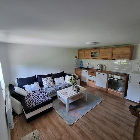 Casa Primitoare In Inima Naturii Si Padurii Rasca  ภายนอก รูปภาพ