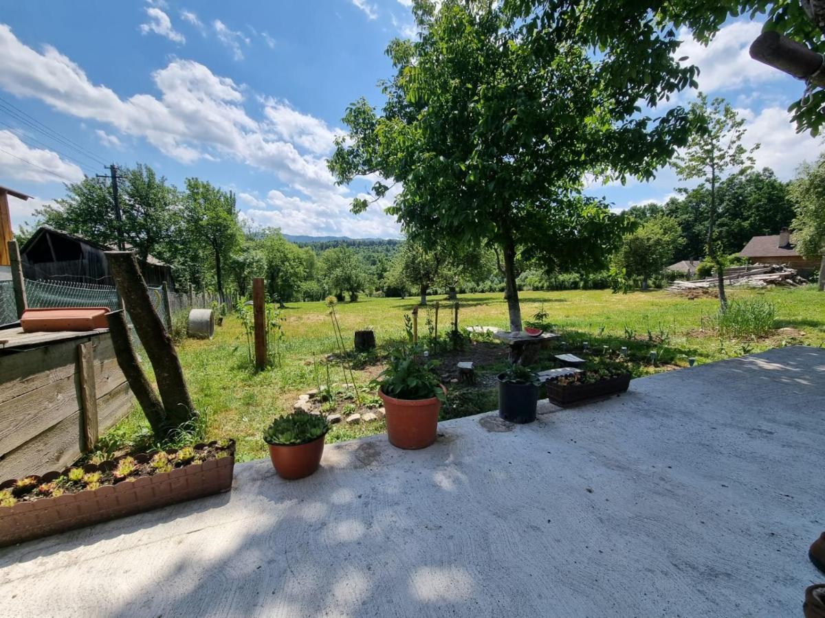 Casa Primitoare In Inima Naturii Si Padurii Rasca  ภายนอก รูปภาพ